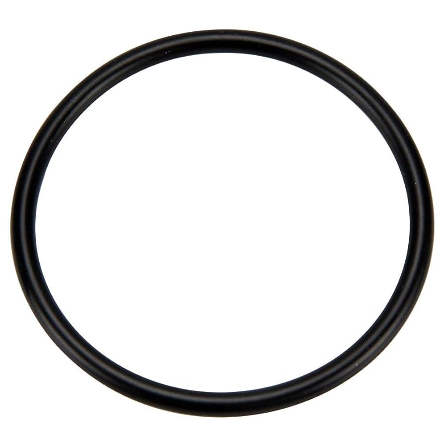 その他 1 Amazon.com: Pentair 273062 O-Ring Replacement Pool/Spa Pump
